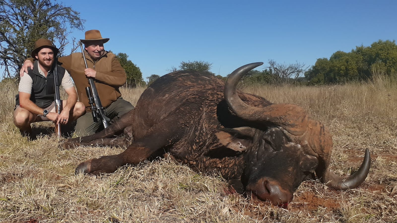 Buffalo Hunting