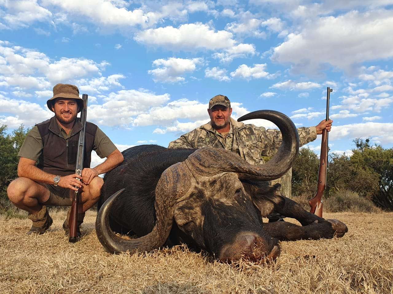 Cape Buffalo Hunting