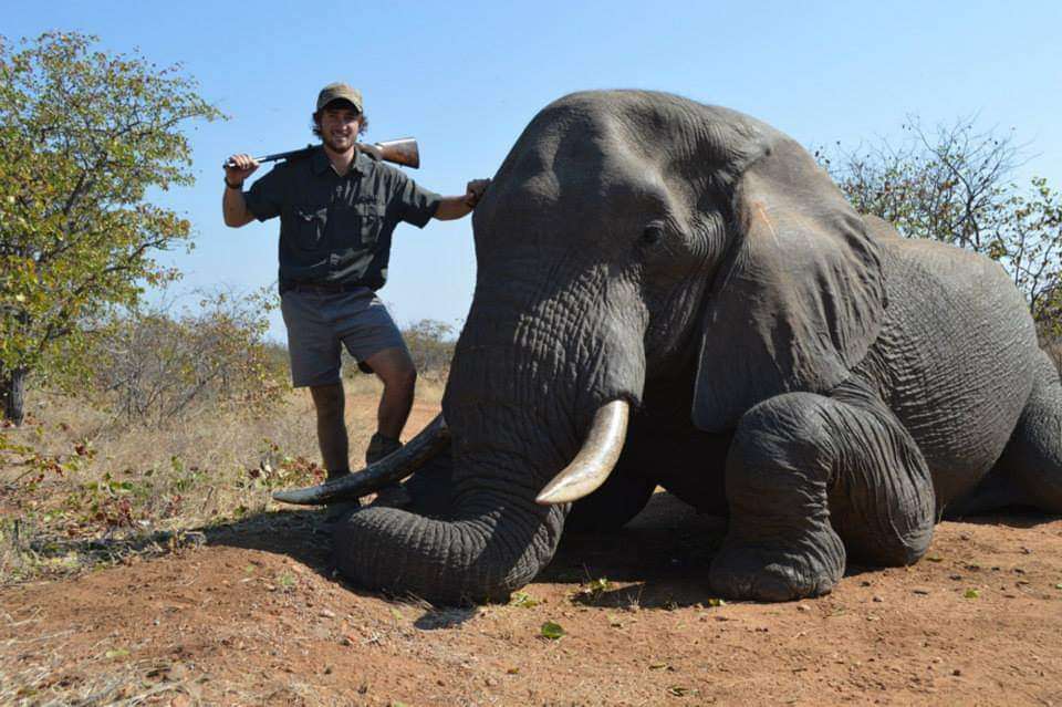 Elephant Hunting